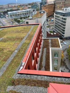 Fredrik_Selmers_vei_taksluk